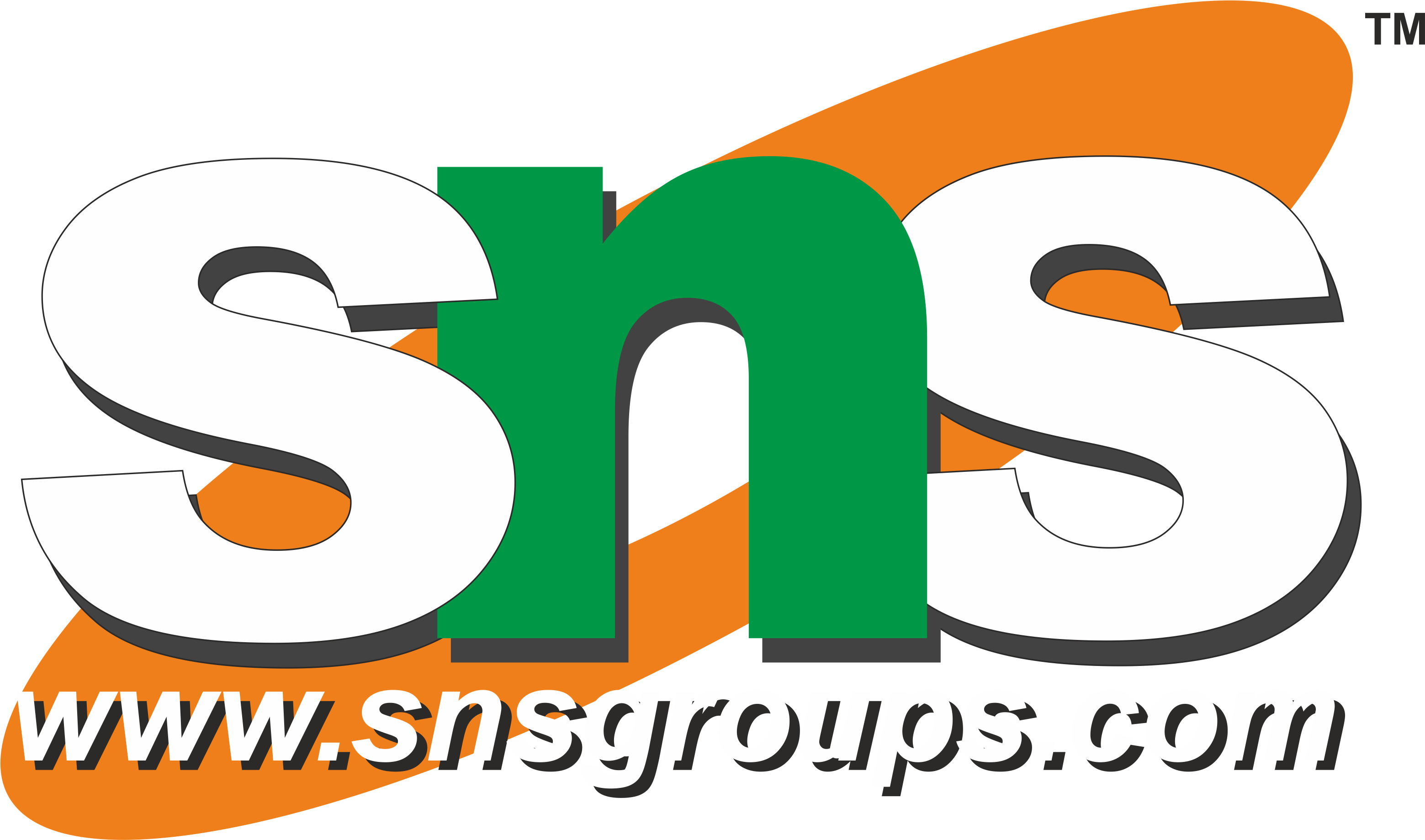SNS Logo